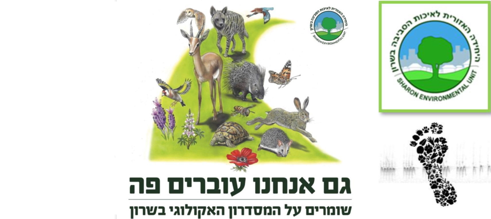 גם אנחנו עוברים פה