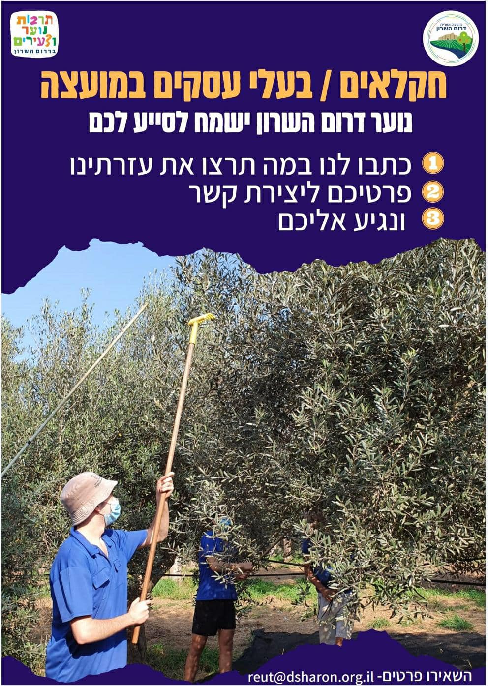 נוער דרום השרון עוזר לחקלאים