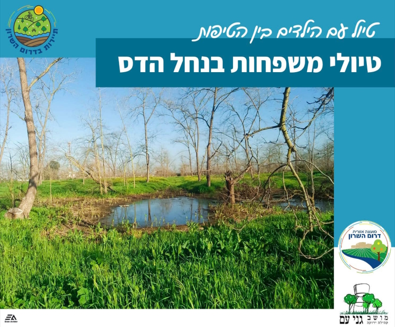 מודעה גאפית הזמנה לטיול משפחות בנחל הדס דרום השרון