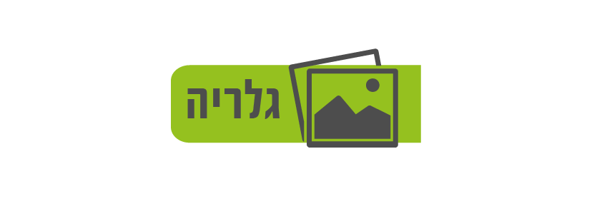 גלריה