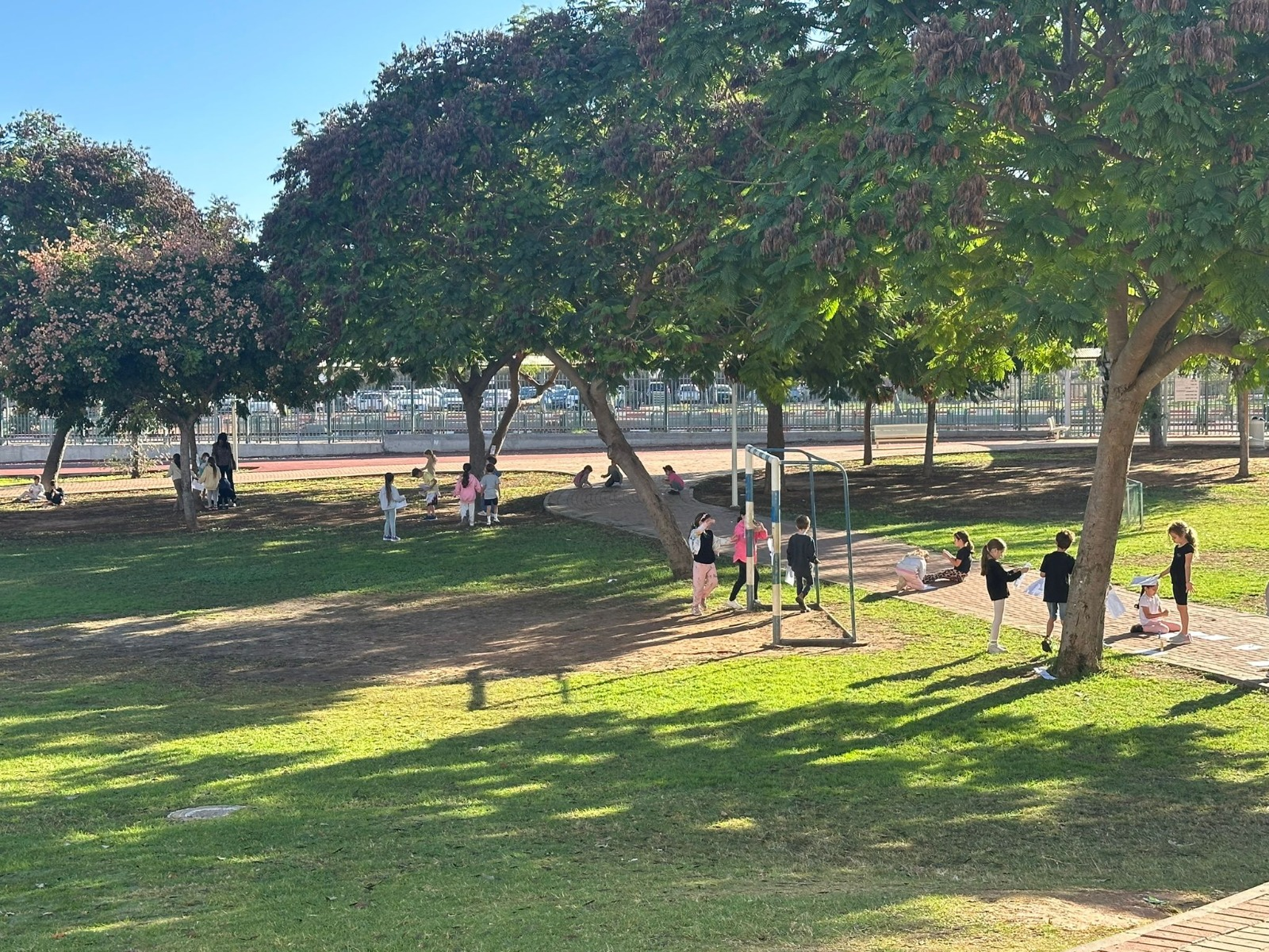 תמונות מבית הספר צופית