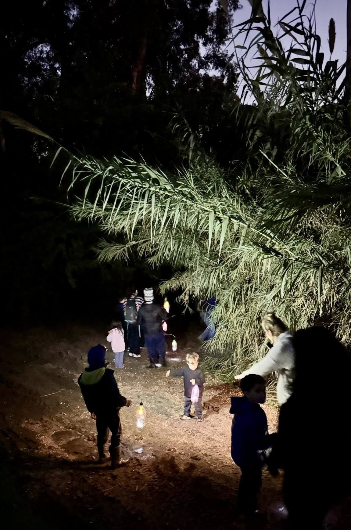 מאירים את הירקון