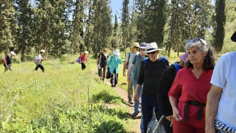 מלקטים ביער חורשים (2).jpg