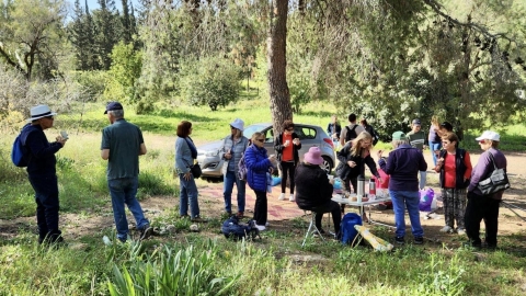 מלקטים ביער חורשים (3).jpg