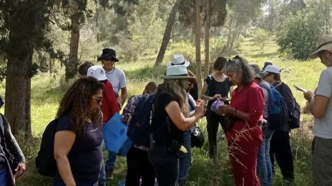מלקטים ביער חורשים (4).jpg