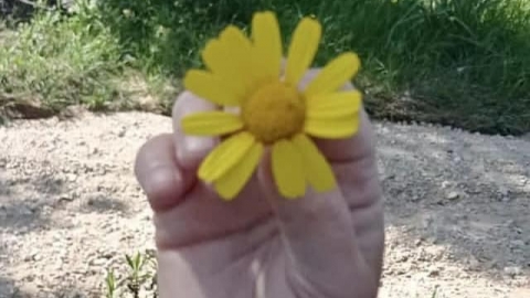 מלקטים ביער חורשים (8).jpg